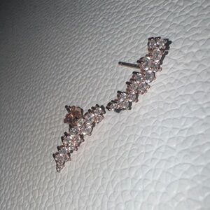 Elegant Rose Gold Crystal Earrings